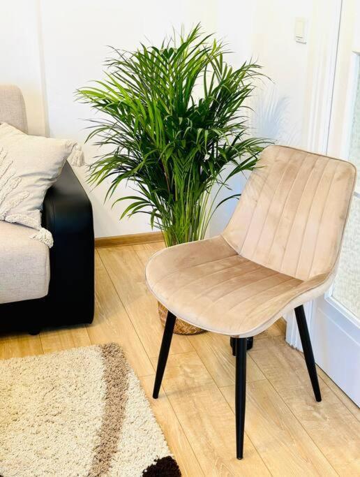 Cozy 1Br Apartment•Central•Quiet บูคาเรสต์ ภายนอก รูปภาพ
